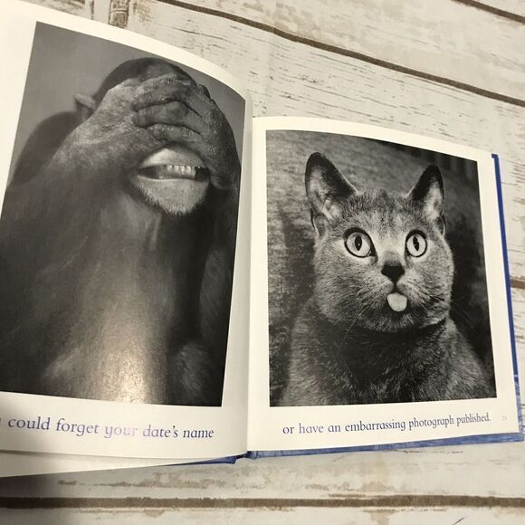 The Blue Book Bradley Trevor Greive A Lesson in Cheering Yourself Up Book - Picture 5 of 9